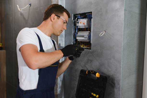 Best Generator Installation Services  in Little Falls, MN
